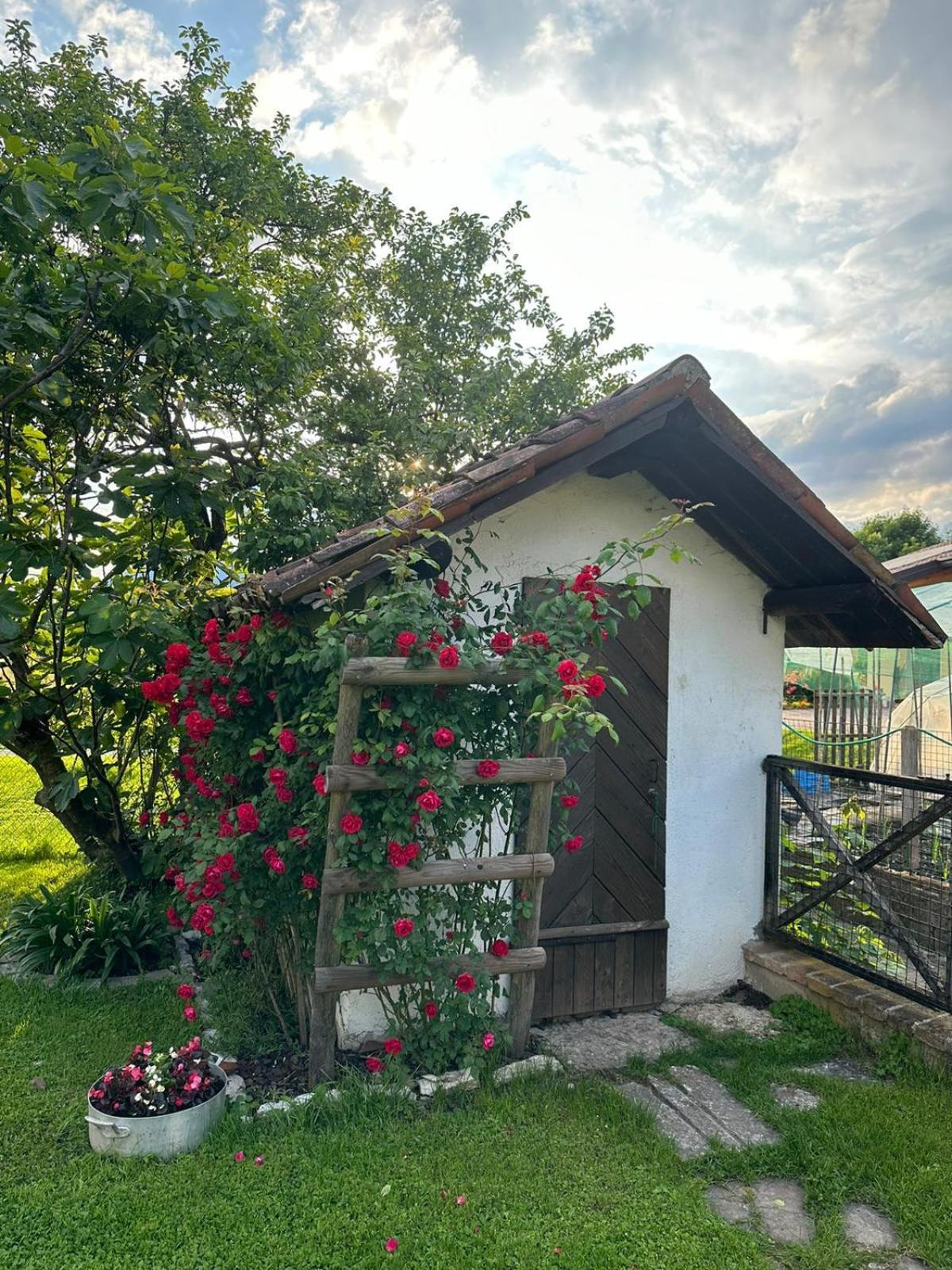 Casa Giovannella Feltre Exteriör bild